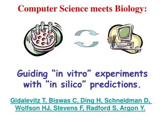 Computer Science meets Biology: Guiding “in vitro” experiments with “in silico” predictions.