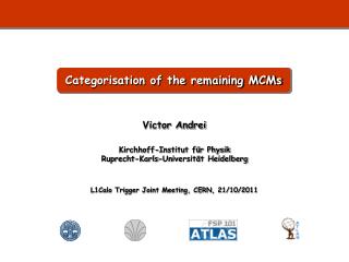 Categorisation of the remaining MCMs