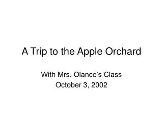 A Trip to the Apple Orchard