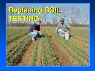 Replacing SOIL TESTING