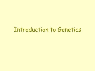 Introduction to Genetics