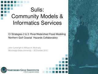 Sulis: Community Models &amp; Informatics Services