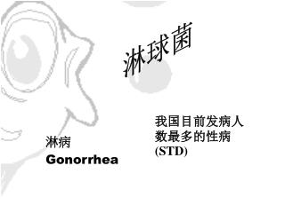 淋病 Gonorrhea