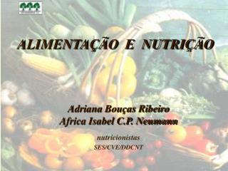 ALIMENTAÇÃO E NUTRIÇÃO Adriana Bouças Ribeiro Africa Isabel C.P. Neumann nutricionistas