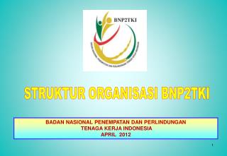 STRUKTUR ORGANISASI BNP2TKI