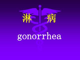 淋 病 gonorrhea