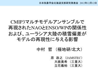 CMIP3 マルチモデルアンサンブルで 再現された NAO と ENSO/WP の関係性および、ユーラシア大陸の積雪偏差がモデルの再現性に与える影響