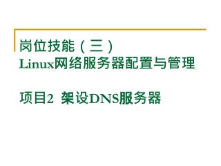 岗位技能（三） Linux 网络服务器配置与管理 项目 2 架设 DNS 服务器