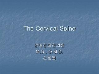 The Cervical Spine