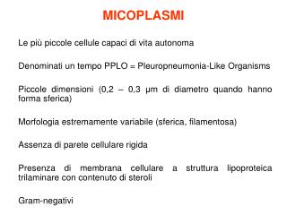 MICOPLASMI