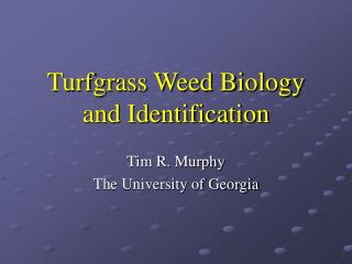 Turfgrass Weed Biology and Identification