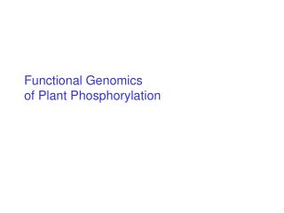 Functional Genomics of Plant Phosphorylation