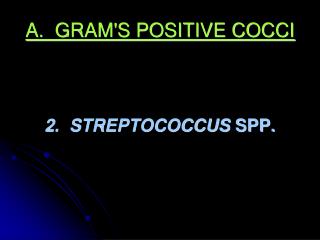 A. GRAM'S POSITIVE COCCI