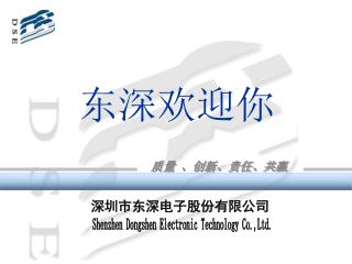 Shenzhen Dongshen Electronic Technology Co.,Ltd.