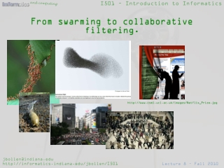 From swarming to collaborative filtering.
