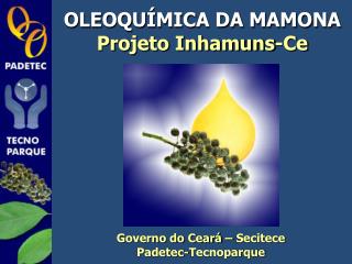OLEOQUÍMICA DA MAMONA Projeto Inhamuns-Ce