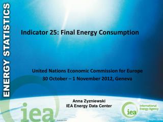 Indicator 25: Final Energy Consumption