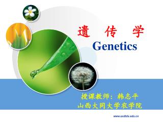 遗 传 学 Genetics