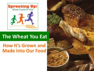The Wheat You Eat