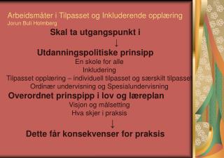 Arbeidsmåter i Tilpasset og Inkluderende opplæring Jorun Buli Holmberg