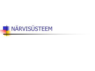 NÄRVISÜSTEEM