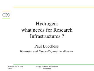 Hydrogen: what needs for Research Infrastructures ?
