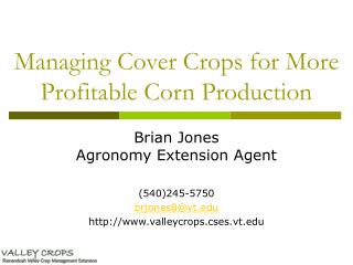 Managing Cover Crops for More Profitable Corn Production