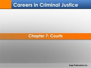 Chapter 7: Courts