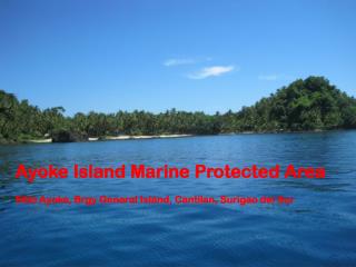 Ayoke Island Marine Protected Area Sitio Ayoke, Brgy General Island, Cantilan, Surigao del Sur