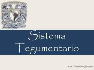 Sistema Tegumentario