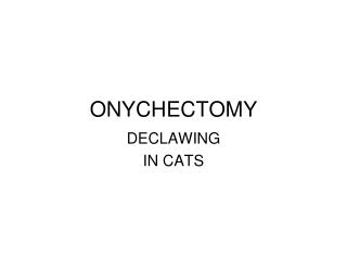 ONYCHECTOMY