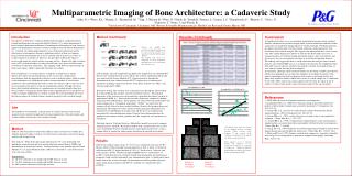 Multiparametric Imaging of Bone Architecture: a Cadaveric Study