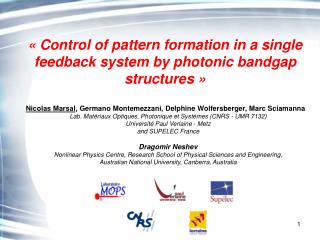 « Control of pattern formation in a single feedback system by photonic bandgap structures »