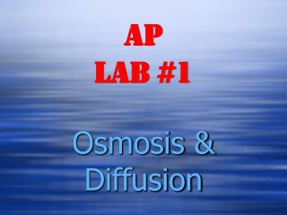 AP Lab #1