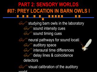 studying barn owls in the laboratory sound intensity cues sound timing cues