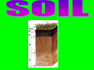 SOIL