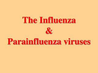 The Influenza &amp; Parainfluenza viruses