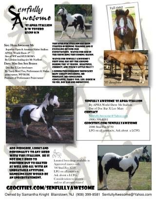 ‘02 APHA Stallion B/W Tovero HYPP N/N