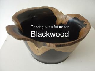 Carving out a future for Blackwood