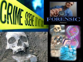 Forensic Nursing 101