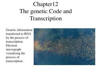 Chapter12 The genetic Code and Transcription