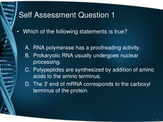 Self Assessment Question 1