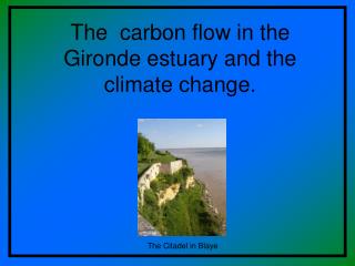 The carbon flow in the Gironde estuary and the climate change.