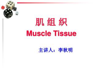 肌 组 织 Muscle Tissue