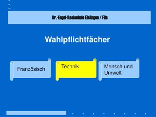 Wahlpflichtfächer