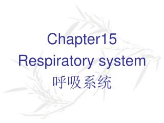 Chapter15 Respiratory system 呼吸系统