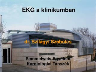 dr. Szilágyi Szabolcs Semmelweis Egyetem Kardiológiai Tanszék