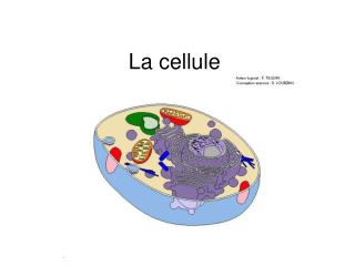 La cellule