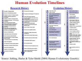 Human Evolution Timelines