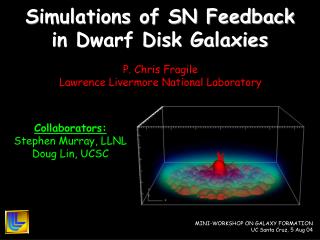 Simulations of SN Feedback in Dwarf Disk Galaxies